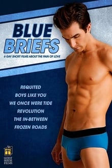Poster do filme Blue Briefs
