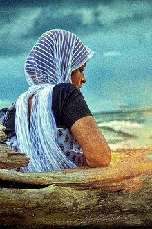 ദി ക്രാബ്