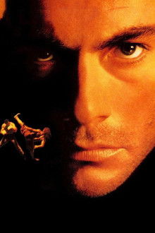 The-Quest---Die-Herausforderung