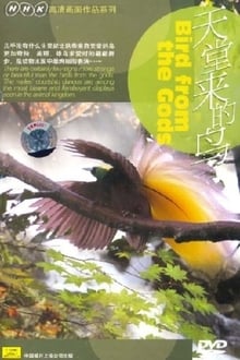Poster do filme Birds from the Gods