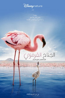 The Crimson Wing: Mystery of the Flamingos