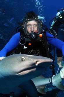 Shark Tracker