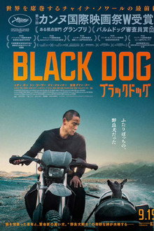 ブラックドッグ