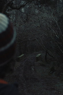 Into The Night