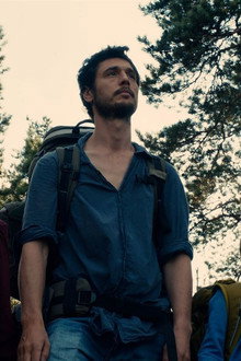 Dans la forêt