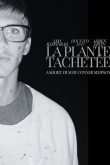 La Plante Tachetée