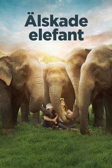 Älskade elefant