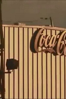 The Coca-Cola Case