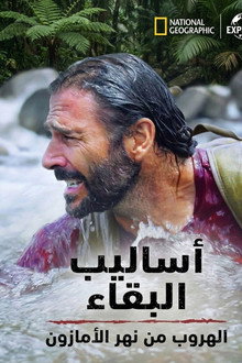 الموسم 6