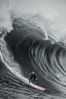 The Secret Life of Waves