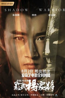 影武杨家将