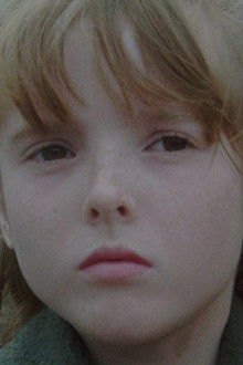 Das-Haus-an-der-Friedhofmauer