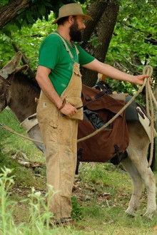 Io,-lui,-lei-e-l'asino