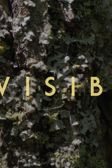 Invisible - Revealing Hidden Disabilities