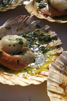 Michel Roux's French Country Cooking - Season 2