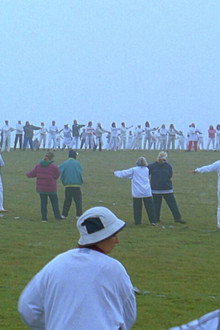 Obarnata elha