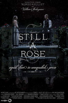 Still a Rose