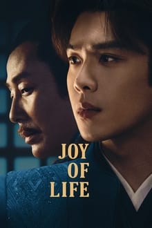 Joy of Life tv show poster