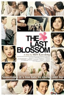 Poster do filme The Last Blossom