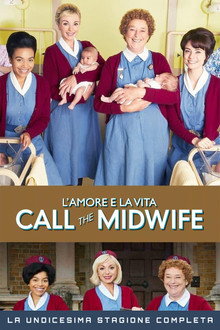 Stagione 11
