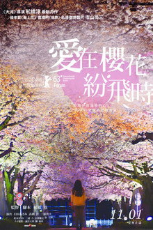 盛开的樱花树下