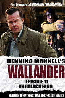 Wallander: Blood Line