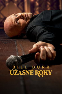 Bill Burr: Úžasné roky