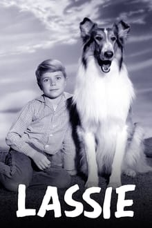 Poster da série Lassie