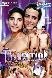 Game Boys Collection 6