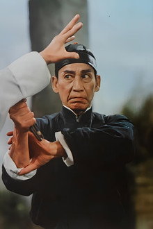 黃飛鴻少林拳