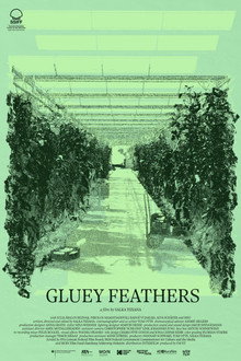 Gluey Feathers