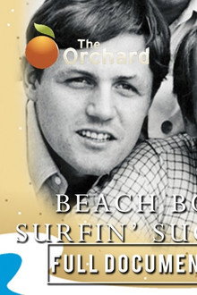 The Beach Boys: 25 Years Together - A Celebration In Waikiki
