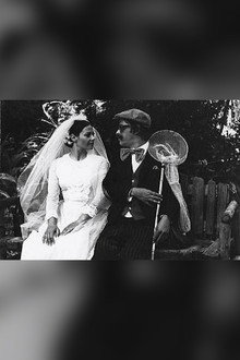 The Bride and the Butterfly Hunter