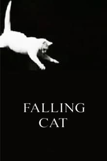 Poster do filme Falling Cat