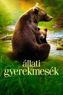 1. évad
