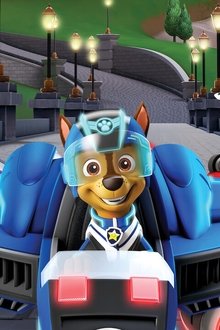 Paw-Patrol---Die-Düsenrettung
