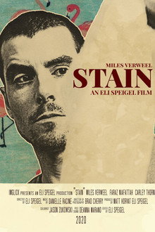 Stain