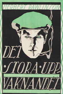 Det stora uppvaknandet