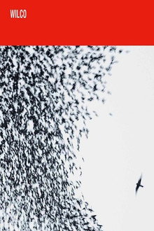 Wilco: Shake It Off