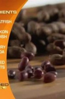 Chopped season 9 episode 5