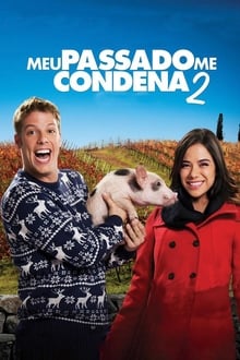 Poster do filme Meu Passado Me Condena 2