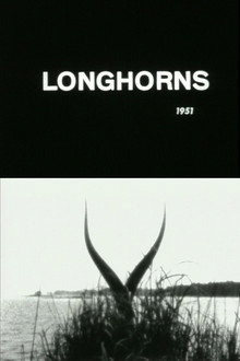 Longhorns