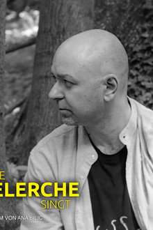 Wenn die Heidelerche singt