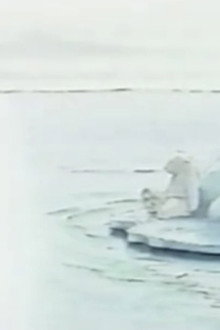 しろくまくん、どこへ？