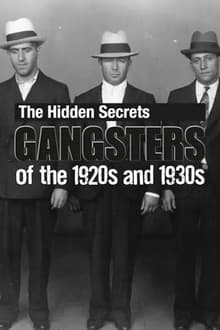 Poster do filme The Hidden Secrets: Gangsters of the 1920s and 1930s