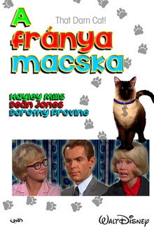A fránya macska