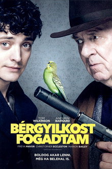 Bérgyilkost fogadtam