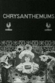 Les Chrysanthèmes