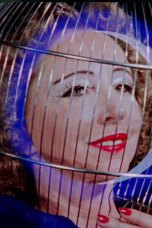 The Inauguration of the Pleasure Dome