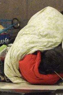 Sleeping American